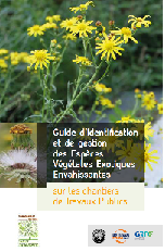 couverture_guide_evee.png