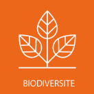 picto_biodiversite.png